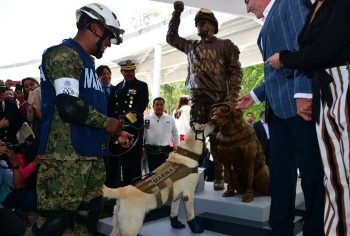 Cão de resgate recebe uma estátua depois de salvar a vida de 12 pessoas durante o terremoto do México no ano passado