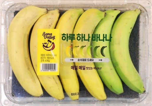 Embalagem contendo várias bananas de maturação diferente, para que você possa comê-las durante vários dias