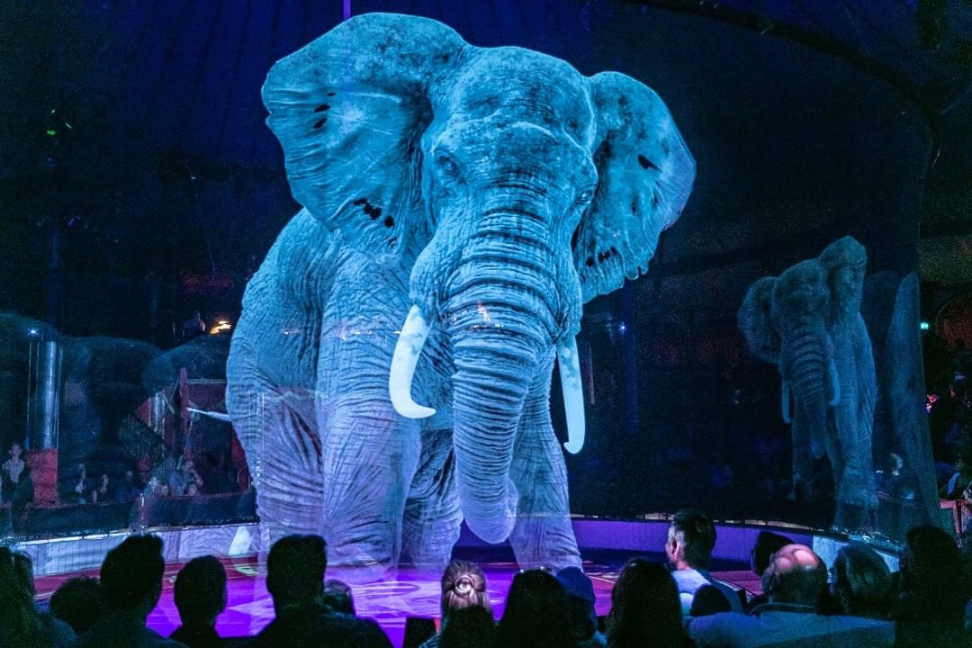 Circo na Alemanha se recusa a usar animais reais. Em vez disso, usa hologramas