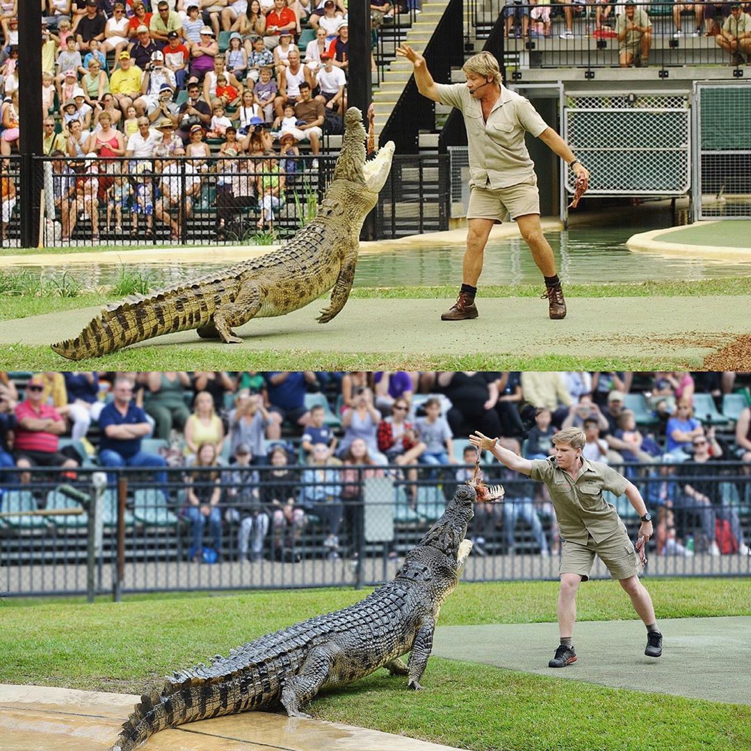 Robert Irwin alimentando o mesmo crocodilo, no mesmo lugar, que seu pai, Steve Irwin, 15 anos atrás