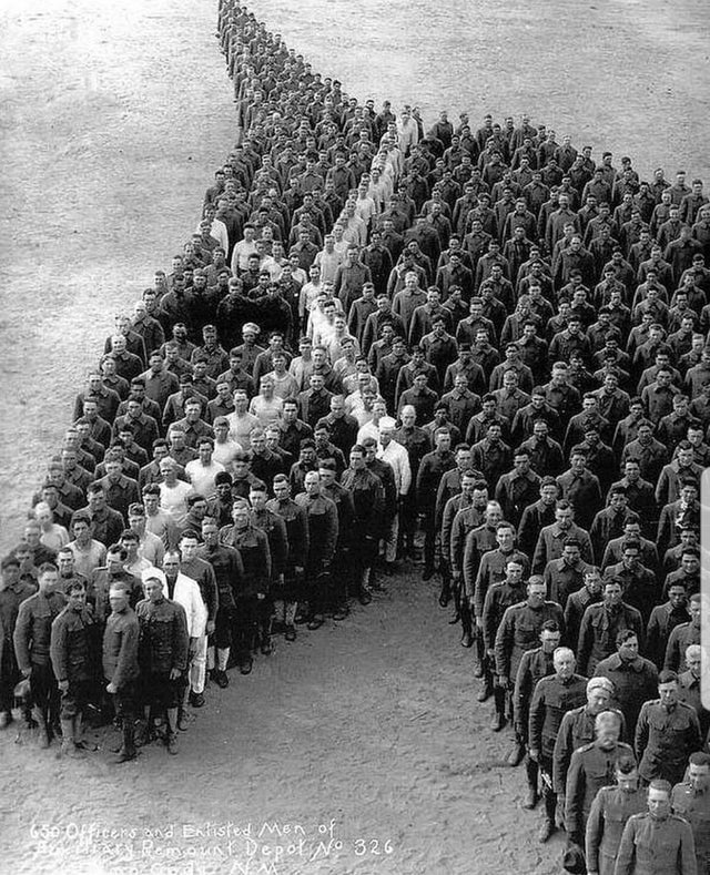 Soldados em homenagem aos 8 milhões de cavalos e mulas que morreram durante a Primeira Guerra Mundial, 1915