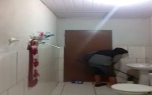O pior caçador de ratos que você verá hoje