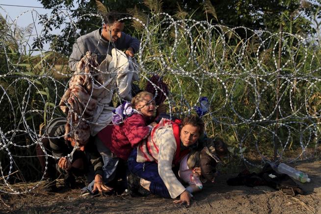 Migrantes sírios tentam entrar na Hungria através da fronteira com a Sérvia, em 27 de agosto de 2015