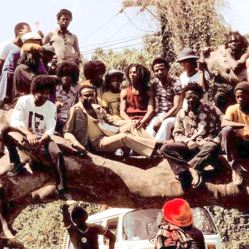 O dia que o Jackson Five visitou Bob Marley