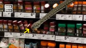 cobra em supermercado