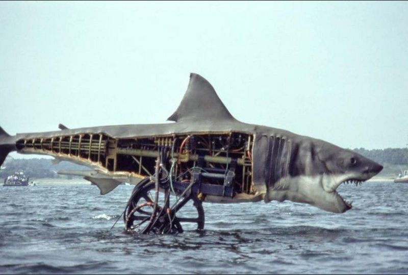 Vista lateral do tubarão (filme).