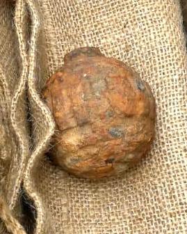Granada da Primeira Guerra Mundial encontrada em um lote de batatas frescas. Acredita-se que ela tenha sido enterrada em um campo onde foram cavadas trincheiras na guerra.