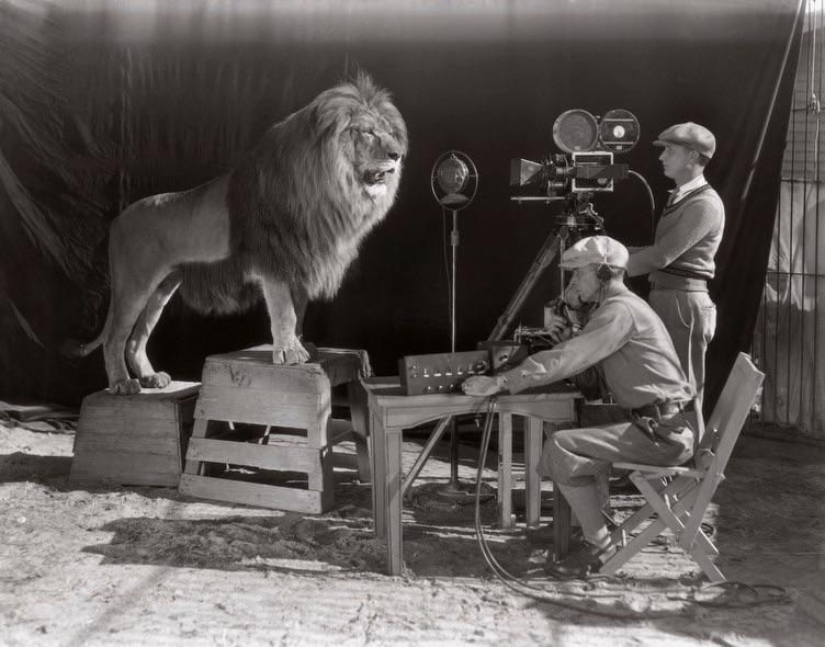 Equipe de filmagem cara a cara com o assustador leão na gravação da vinheta da MGM, em 1928.