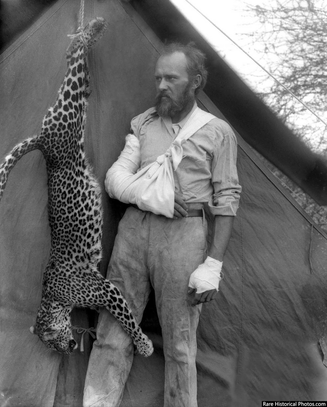 Taxidermista Carl Akeley posando com o leopardo que ele mesmo matou com as próprias mãos durante um ataque - 1896.