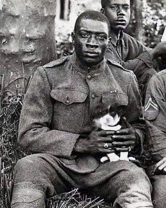 Membro do Harlem Hellfighters, uma unidade de infantaria totalmente composta por negros na Primeira Guerra Mundial (1918). Apesar de sua coragem, sacrifício e dedicação ao país, eles voltaram para casa para enfrentar o racismo e a segregação de seus conterrâneos.