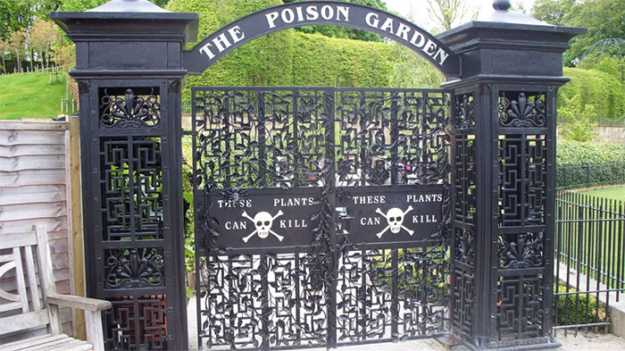 O jardim venenoso (Alnwick Garden) contém cerca de 100 plantas que podem realmente matar uma pessoa.