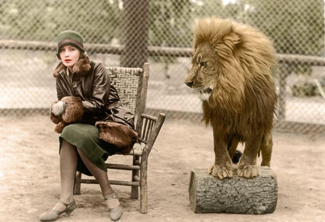 A atriz sueca Greta Garbo sentada nervosamente ao lado do mascote da MGM, o leão Leo, em 1926.