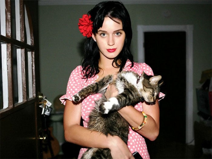 A gata de Katy Perry foi batizada como Kitty Purry.
