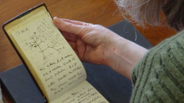 Cadernos com anotações de Charles Darwin roubados foram misteriosamente devolvidos à Universidade de Cambridge, depois de 22 anos. Os pequenos blocos com capa de couro valem milhões de libras e incluem o esboço da 