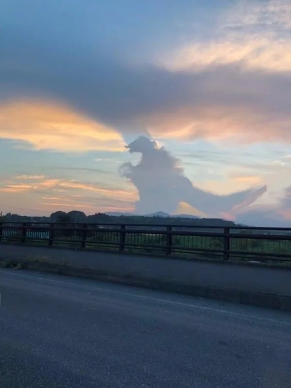 Corra, Godzilla está chegando!
