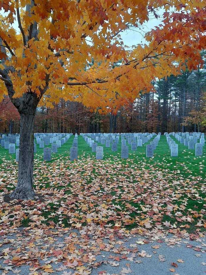 Cemitério de veteranos de guerra