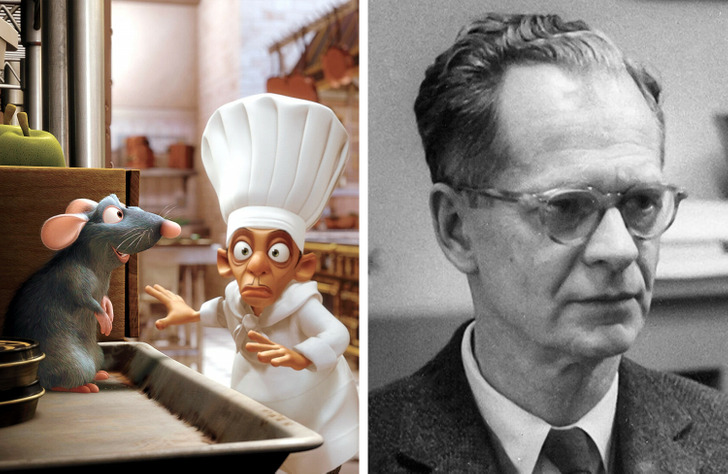 O chef Skinner, de Ratatouille, foi inteligentemente batizado assim em homenagem ao psicólogo compartamental BF Skinner, que é conhecido por seus experimentos com ratos.