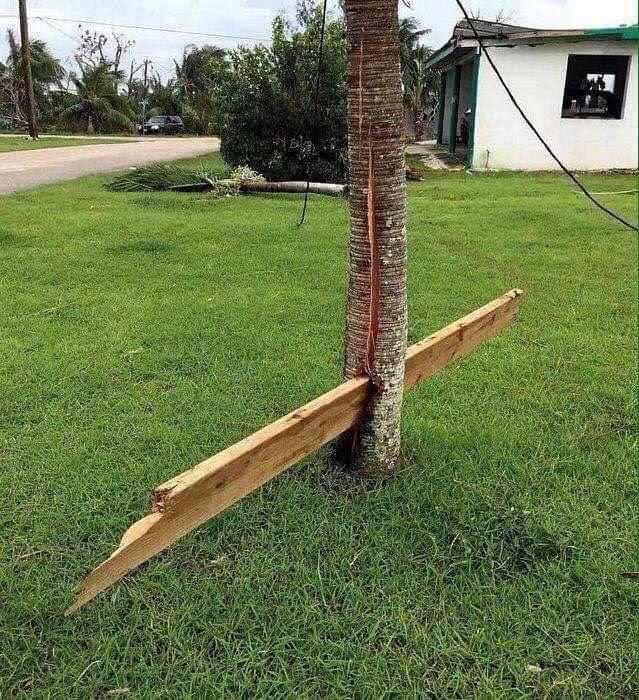 O poder do vento durante um furacão.
