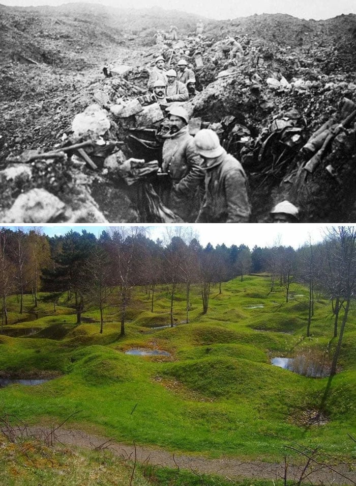 1916 - hoje - Verdun Battlefield, França