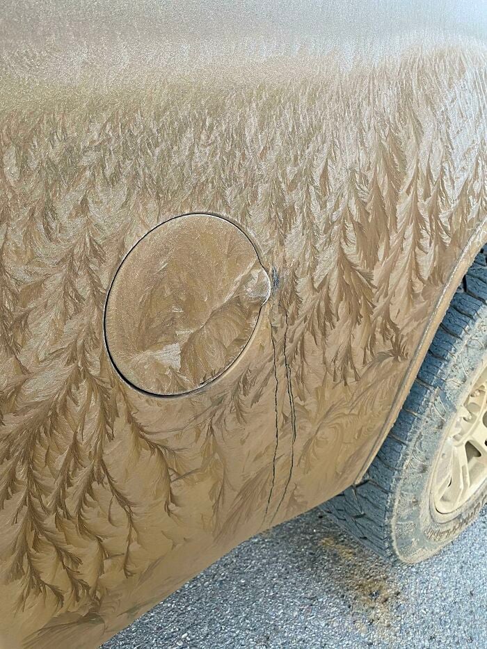 Lama congelada num carro parece floresta pintada
