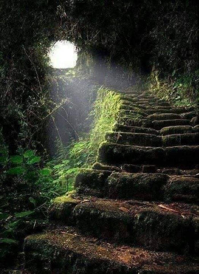 Escadaria para o céu, a antiga trilha inca que leva a Machu Picchu no Peru