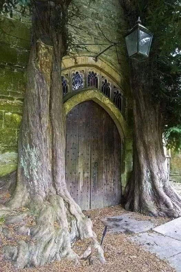 Emoldurada por árvores, a porta deste santuário medieval parece um portal para um reino mítico. Igreja de St Edward, Stow-On-The-Wold (Inglaterra)