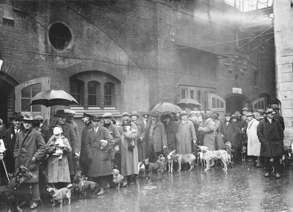 Há 100 anos, mais precisamente 4 de novembro de 1922, os donos de cães de Berlim fizeram fila para sacrificar seus animais de estimação devido à hiperinflação que atingia toda a Alemanha. Eles não podiam mais alimentar seus cães.